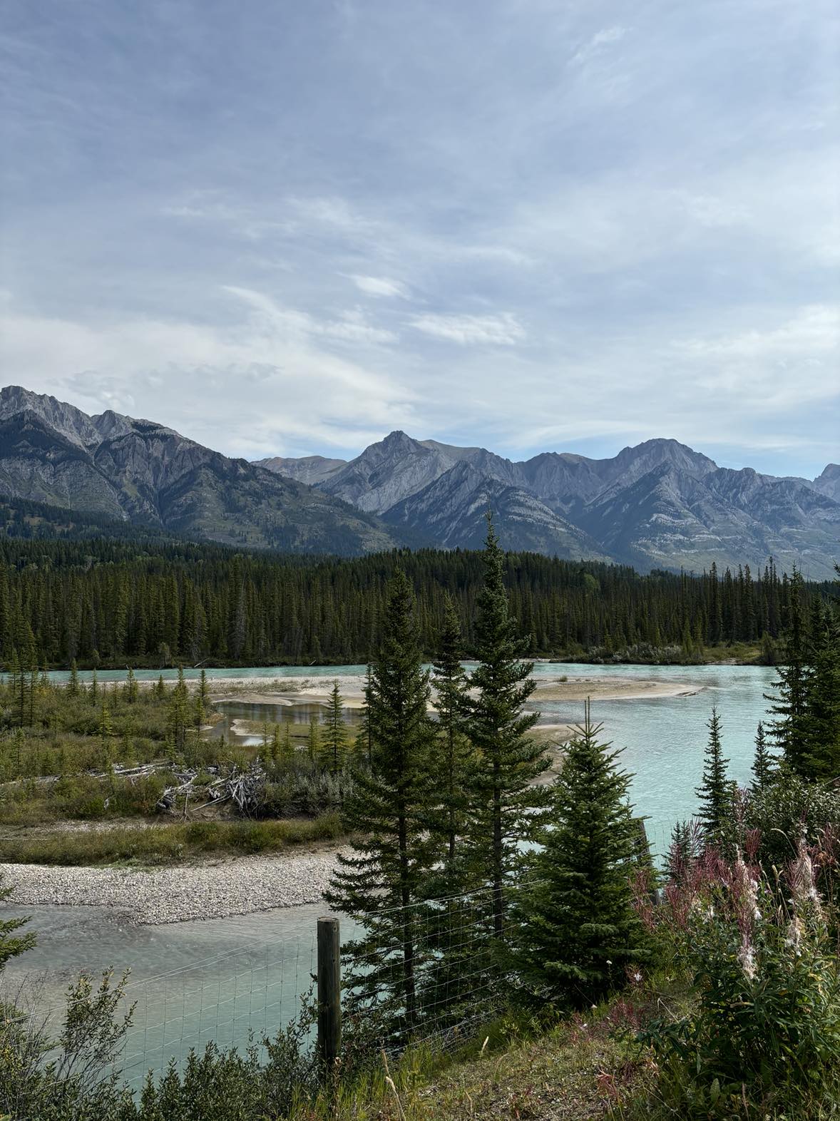 PPC Campaign Management in Banff Calgary