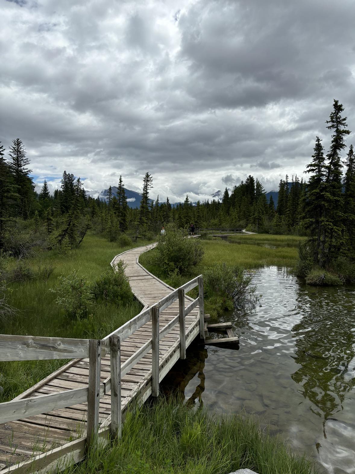 your pathway to Information Architecture in canmore